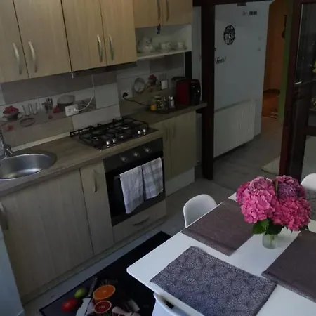 Ana Lux Apartment Brasov