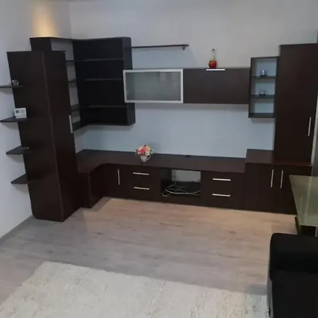 Ana Lux Apartment Brasov